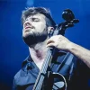 Stjepan Hauser Cellist Paint By Numbers