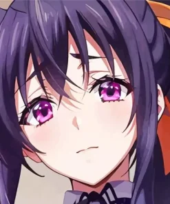 Akeno Himejima Paint By Numbers