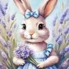 Adorable Bunny Paint By Numbers