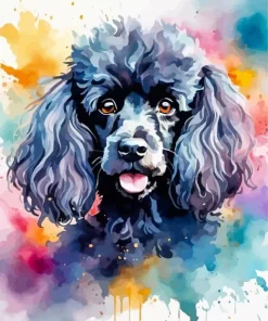 Black Poodle Paint By Numbers