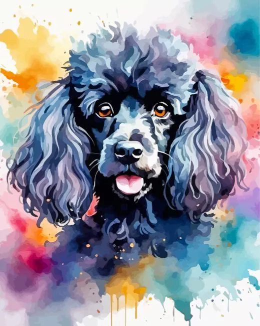aesthetic black poodle paint by numbers Black Poodle Paint By Numbers
