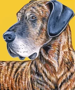 Aesthetic Brindle Paint By Numbers