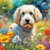 Dog In A Field Art Paint By Numbers