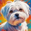 Aesthetic Maltese Art Paint By Numbers