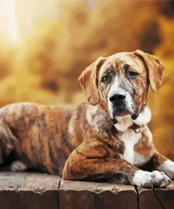Brindle Art Paint By Numbers