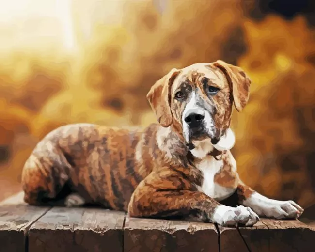 brindle art paint by number Brindle Art Paint By Numbers