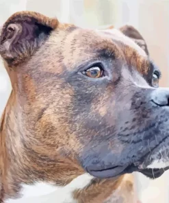 Brindle Dog Paint By Numbers