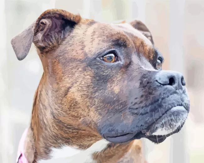 brindle dog paint by number Brindle Dog Paint By Numbers