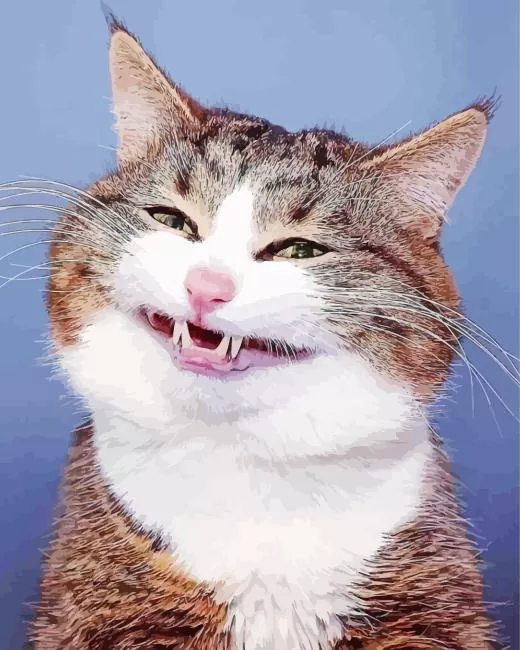 cat smiling paint by numbers Cat Smiling Paint By Numbers