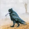 Crow Wearing Boots Paint By Numbers