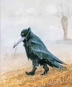 Crow Wearing Boots Paint By Numbers