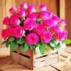Pink flowers Bouquet Paint By Numbers