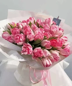 Pink Peonies Bouquet Paint By Numbers