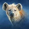 White Hyena Paint By Numbers