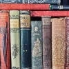Vintage Books Paint By Numbers
