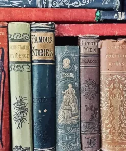 Vintage Books Paint By Numbers