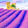 Lavender Field Art Paint By Numbers