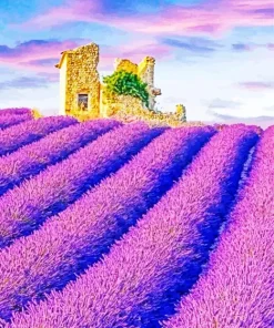 Lavender Field Art Paint By Numbers