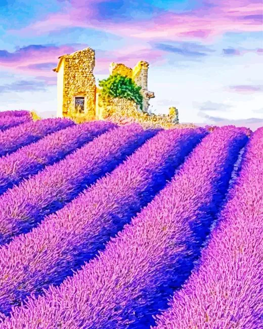 aesthetic lavender field art paint by numbers Lavender Field Art Paint By Numbers