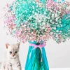 Bouquet And Kitty Paint By Numbers