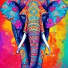 Bohemian Elephant Paint By Numbers