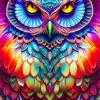 Bohemian Owl Paint By Numbers