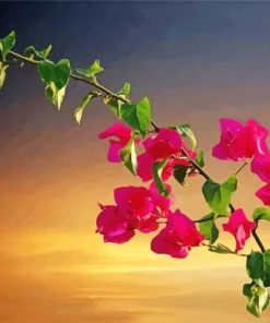 Bougainvillea Branch Paint By Numbers