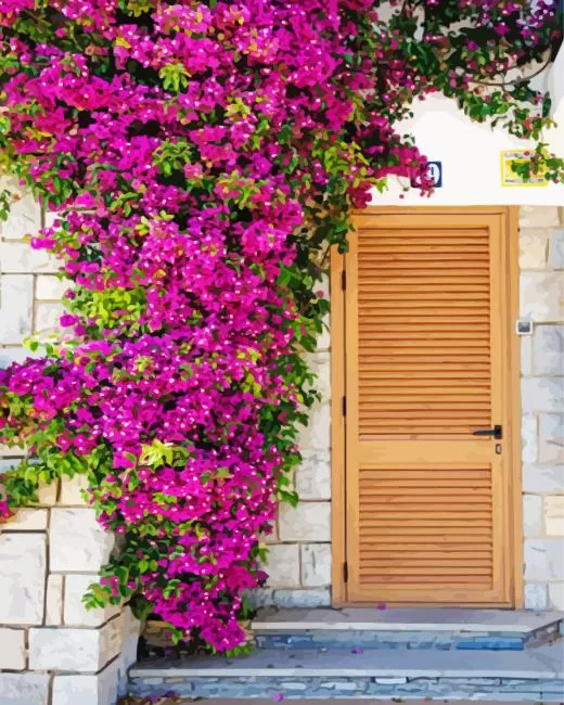 bougainvillea front door paint by number Bougainvillea Front Door Paint By Numbers