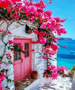 Bougainvillea Santorini Paint By Numbers