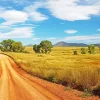 Dirt Road Paint By Numbers