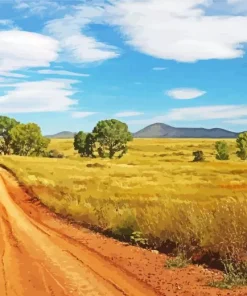 Dirt Road Paint By Numbers