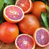Red Orange Fruit Paint By Numbers
