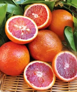 Red Orange Fruit Paint By Numbers