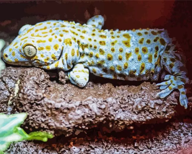 tokay gecko paint by numbers Tokay Gecko Paint By Numbers
