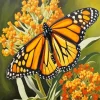 Aesthetic Monarch Butterfly Paint By Numbers