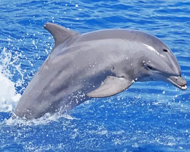 bottlenose dolphin paint by number Bottlenose Dolphin Paint By Numbers