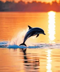 Dolphin Silhouette Paint By Numbers