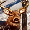 Cool Dnd Stag Paint By Numbers