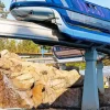 Disneyland Monorail Paint By Numbers