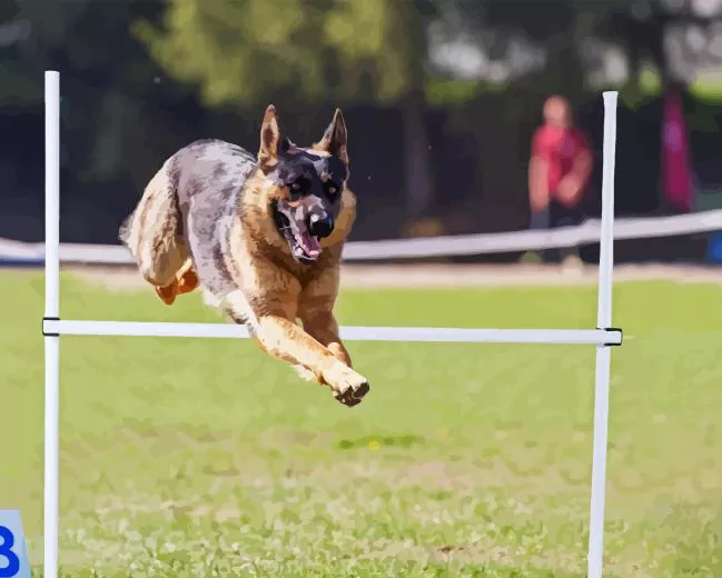 dog jumping paint by number Dog Jumping Paint By Numbers