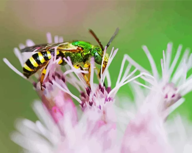 green bee insect paint by numbers Green Bee Insect Paint By Numbers