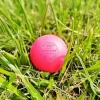 Lacrosse Ball Paint By Numbers