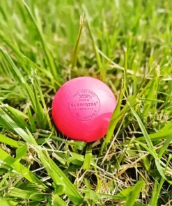 Lacrosse Ball Paint By Numbers