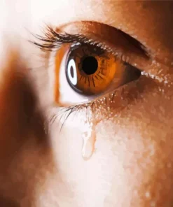 Sad Eyes Girl Paint By Numbers