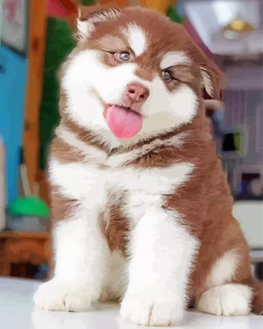 Brown Husky paint by numbers Brown Husky Paint By Numbers