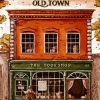 Old Town Book Shop Paint By Numbers