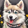 Aesthetic Pomsky Art Paint By Numbers