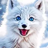 Aesthetic Arctic Fox Paint By Numbers