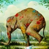 Big Elephant Balancing Paint By Numbers