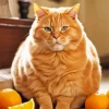Orange Cat Art Paint By Numbers